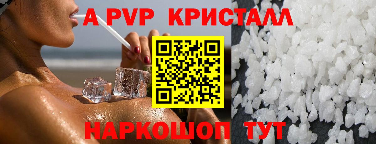 Альфа ПВП СК КРИС Архангельск
