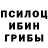 Галлюциногенные грибы Psilocybine cubensis TheQwert1009