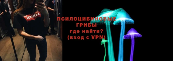 ГАЛЛЮЦИНОГЕННЫЕ ГРИБЫ Краснослободск