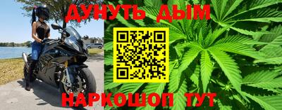 дмт Аргун