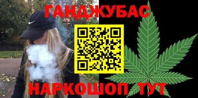 дмт Аргун