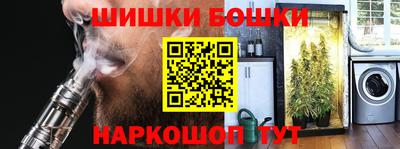 дмт Аргун