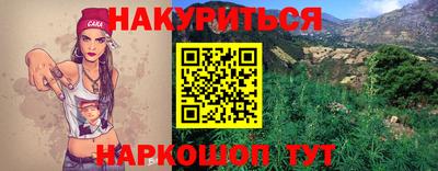 дмт Аргун