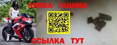дмт Аргун