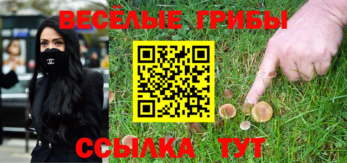Псилоцибиновые грибы Cubensis  Вход с VPN  Архангельск  Псилоцибиновые грибы MAGIC MUSHROOMS 