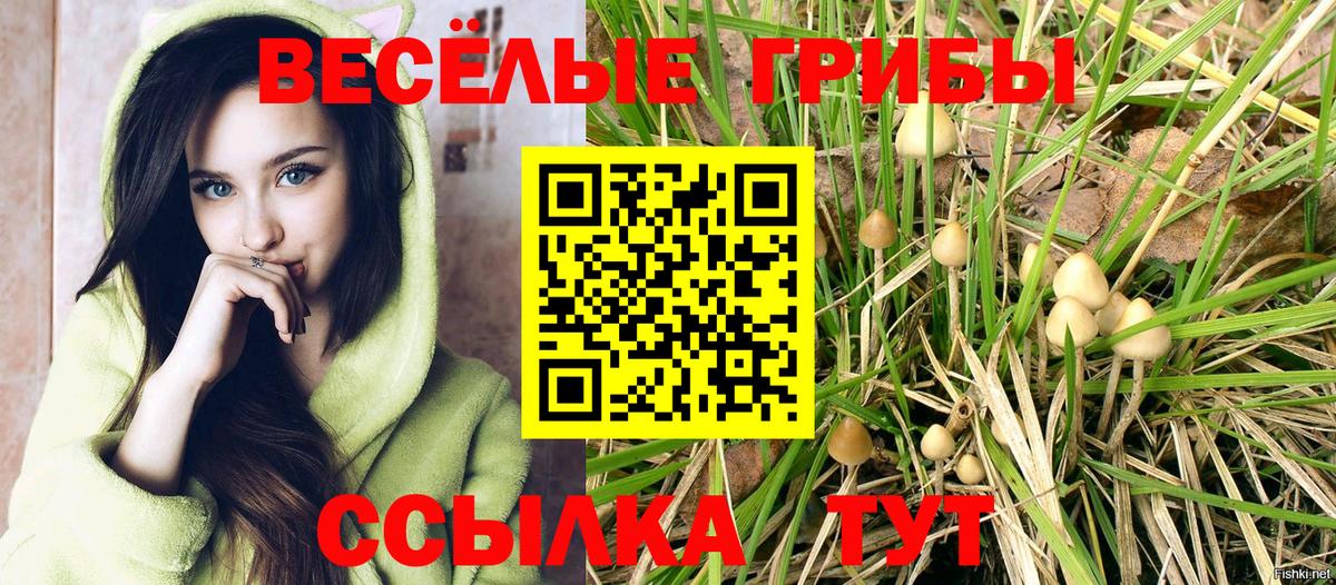 Галлюциногенные грибы Magic Shrooms Архангельск