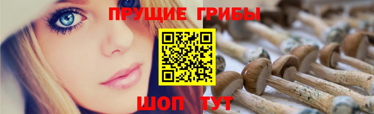 Псилоцибиновые грибы Cubensis Архангельск